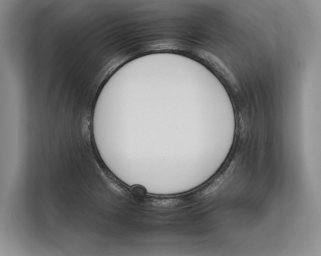 X0000111651225200908281042