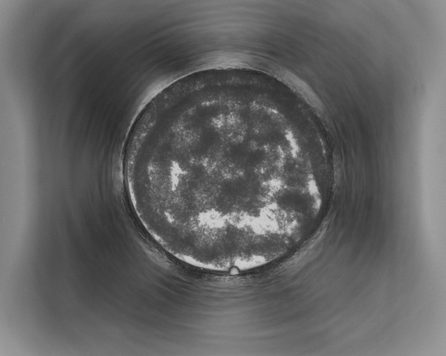 X0000111651226200908281042