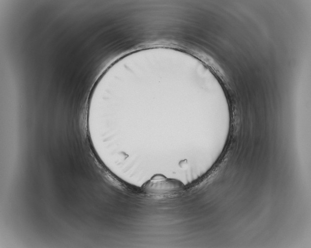 X0000111651228200908281042