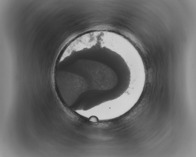 X0000111651229200908281043