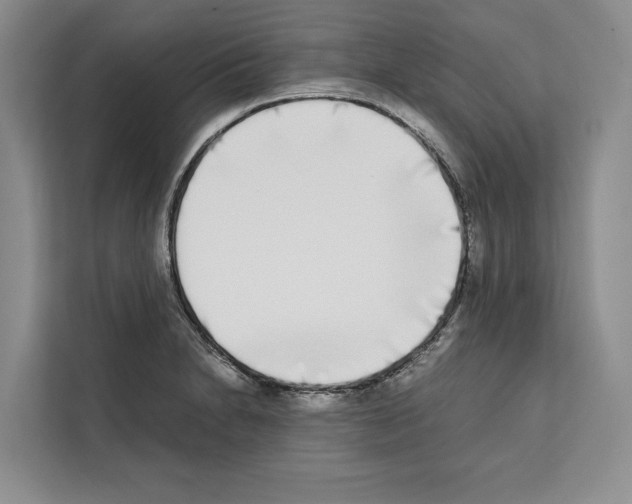 X0000111651230200908281043