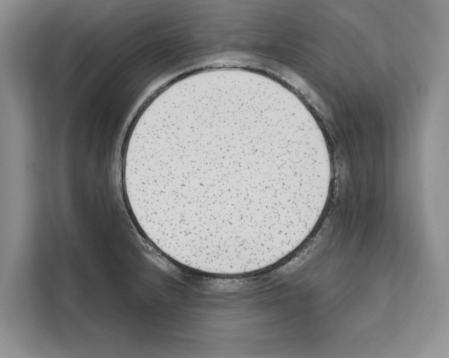 X0000111651232200908281043
