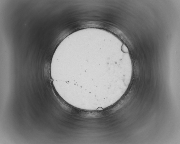 X0000111651233200908281043