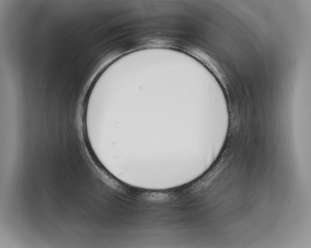 X0000111651235200908281043