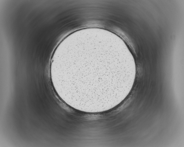 X0000111651236200908281043