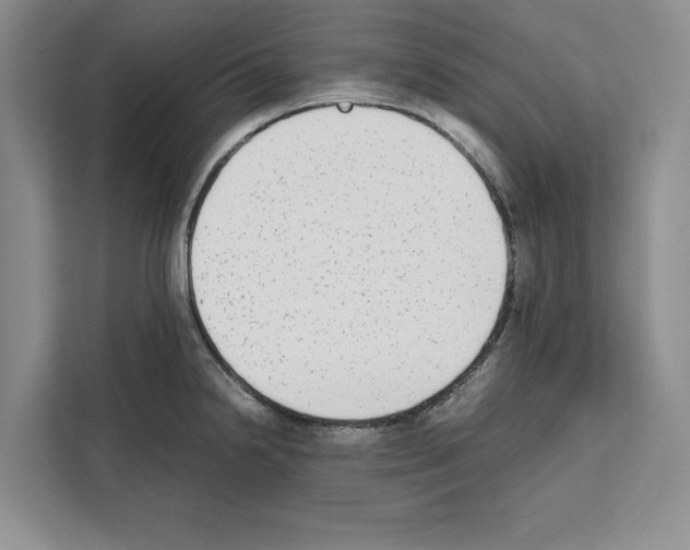X0000111651238200908281043