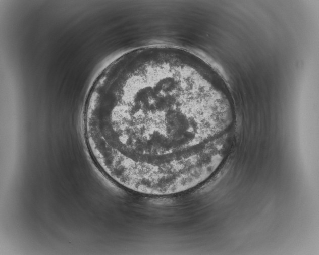 X0000111651239200908281043