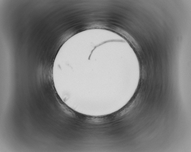 X0000111651241200908281043