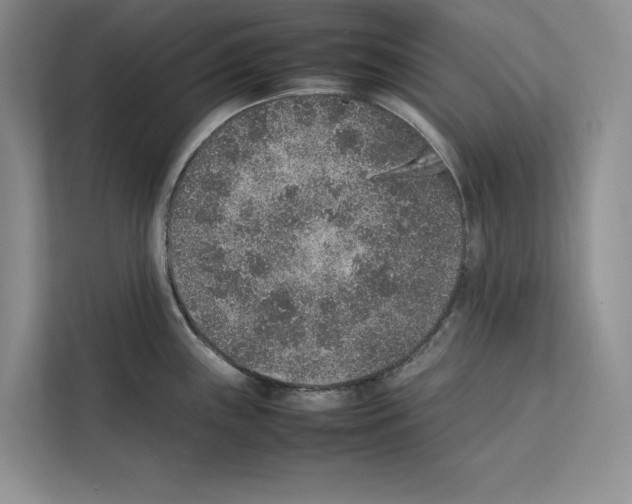 X0000111651243200908281043