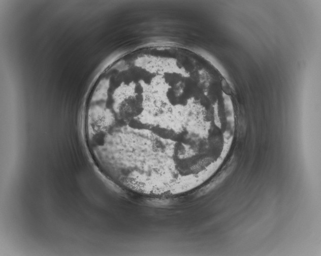 X0000111651245200908281043