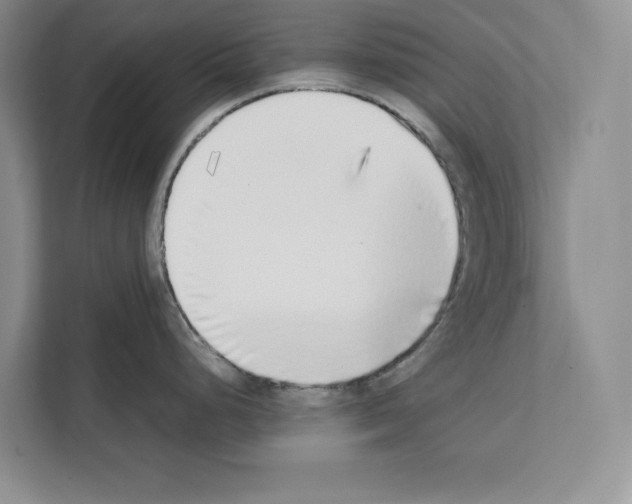 X0000111651248200908281043