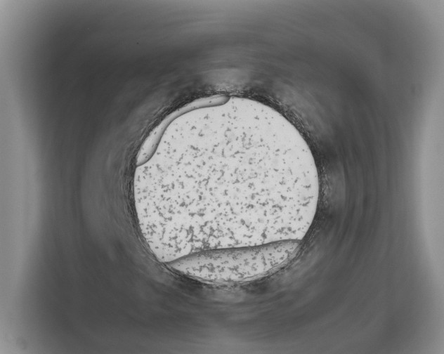 X0000111651249200908281042