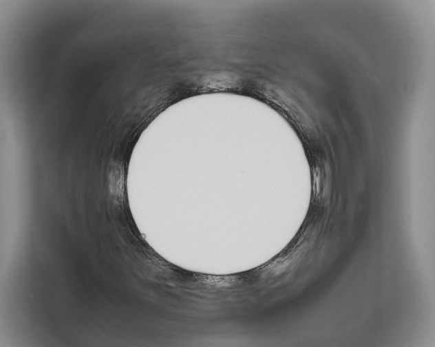 X0000111651251200908281042