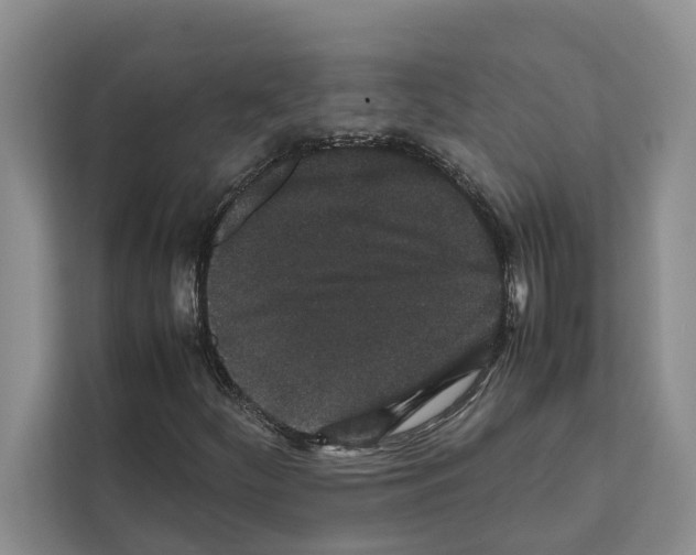 X0000111651252200908281042
