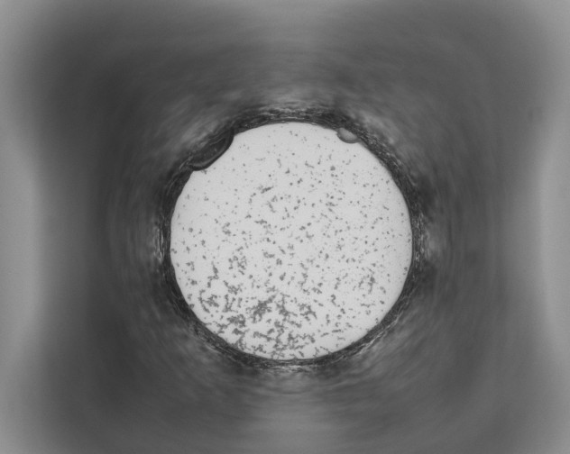 X0000111651253200908281042