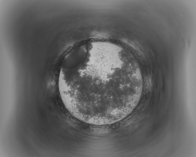 X0000111651254200908281042