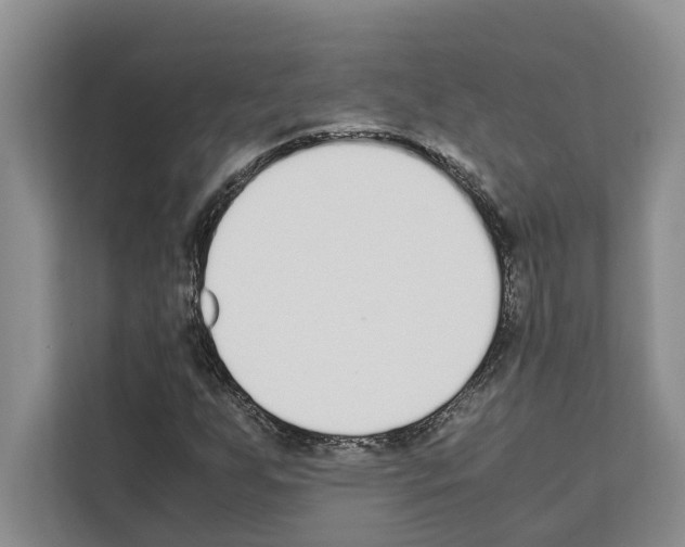 X0000111651255200908281042