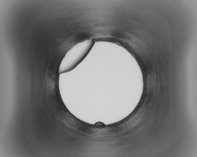 X0000111651257200908281042