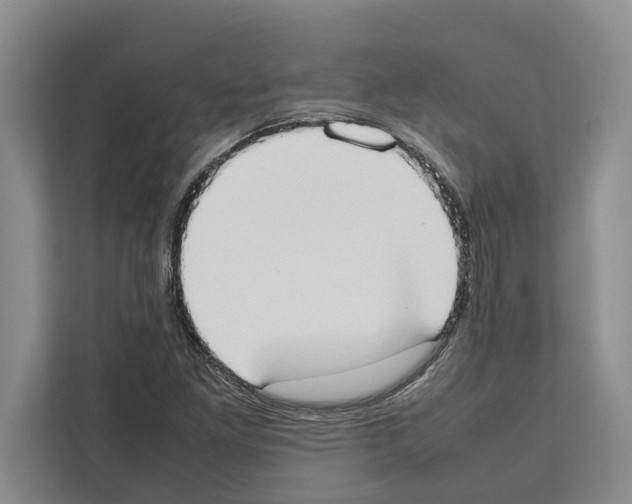 X0000111651261200908281042