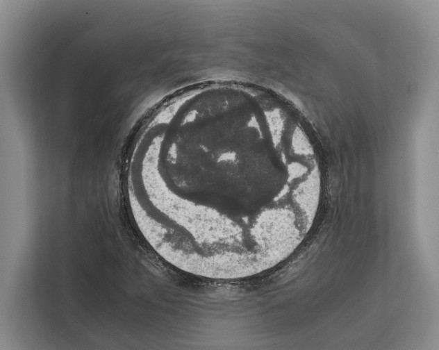 X0000111651263200908281042