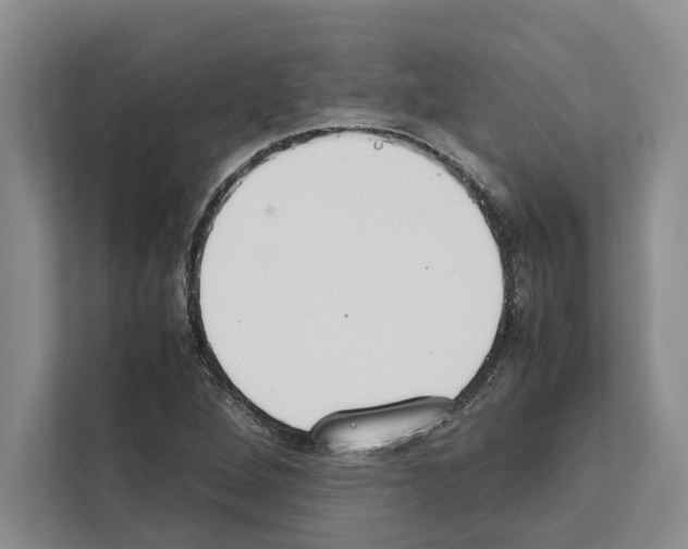 X0000111651264200908281042