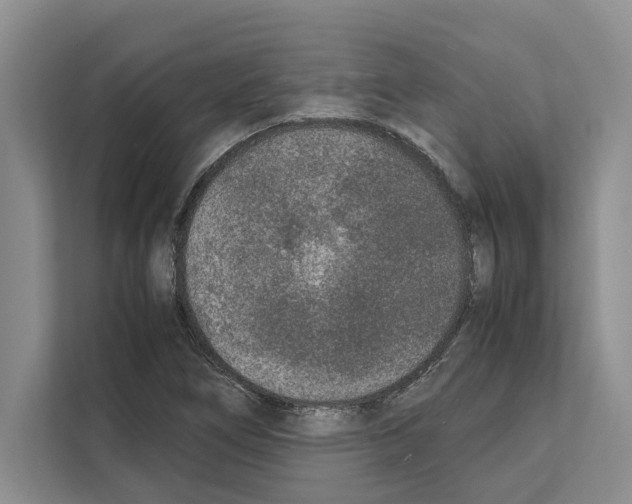 X0000111651266200908281042
