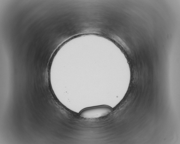 X0000111651268200908281042