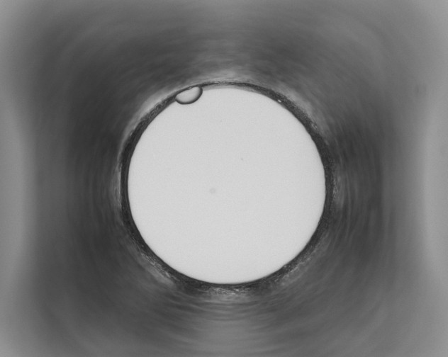 X0000111651270200908281042