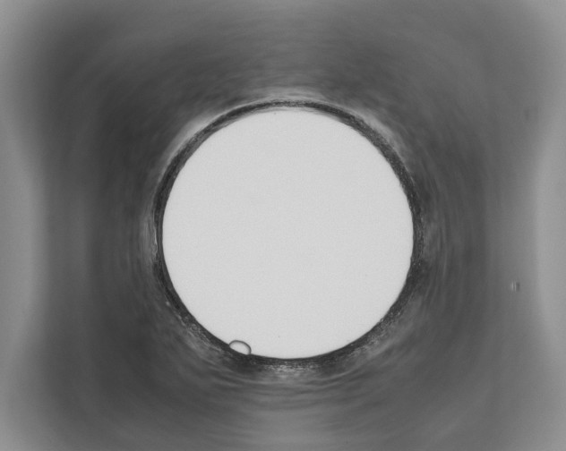 X0000111651271200908281042