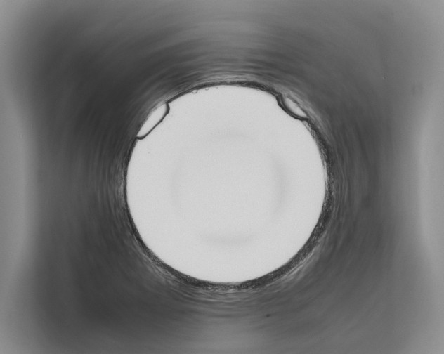X0000111651273200908281042