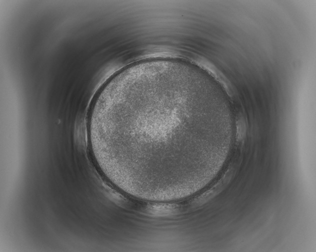 X0000111651274200908281042
