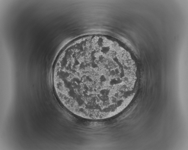 X0000111651275200908281042