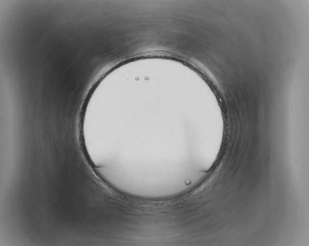 X0000111651277200908281042