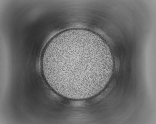 X0000111651278200908281042