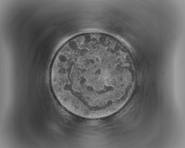 X0000111651279200908281042