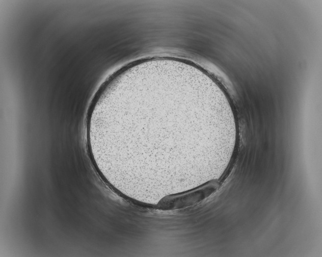 X0000111651280200908281042