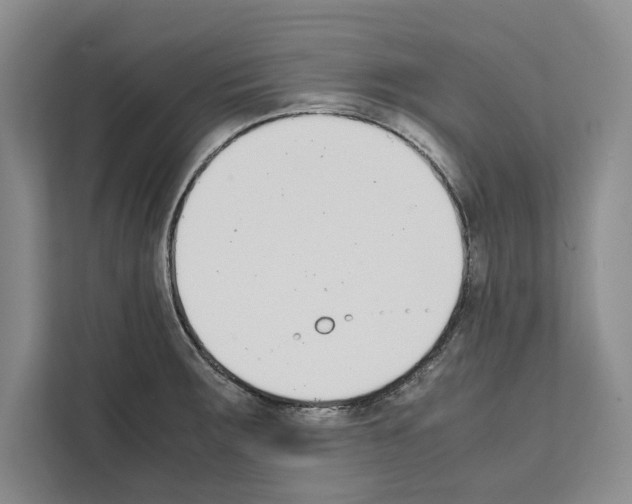 X0000111651283200908281042
