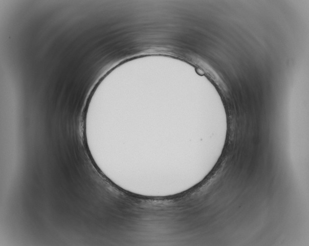 X0000111651284200908281042