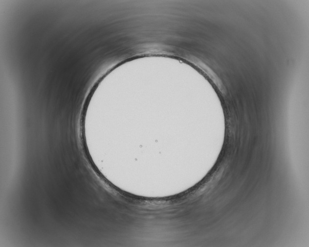 X0000111651285200908281042