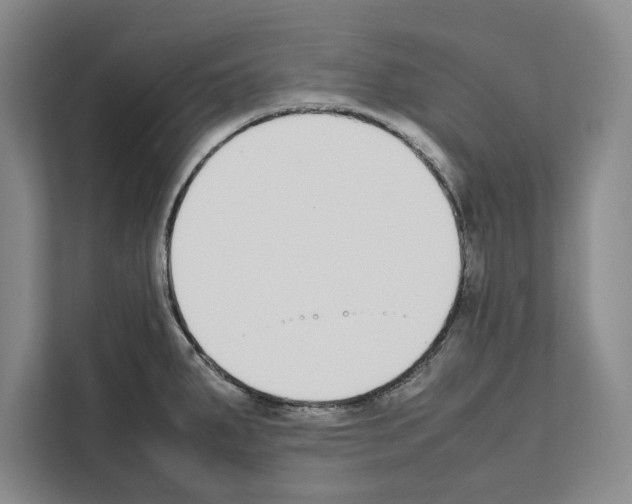 X0000111651287200908281042
