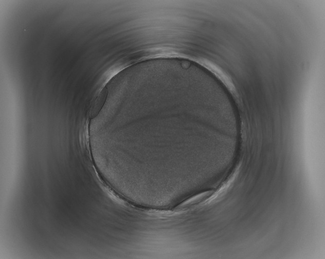 X0000111651289200908281042