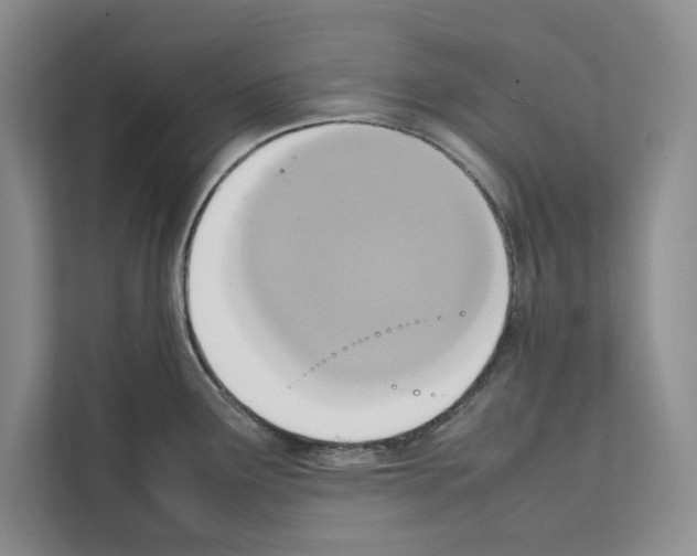 X0000111651291200908281042
