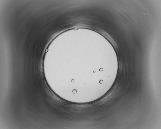 X0000111651292200908281042