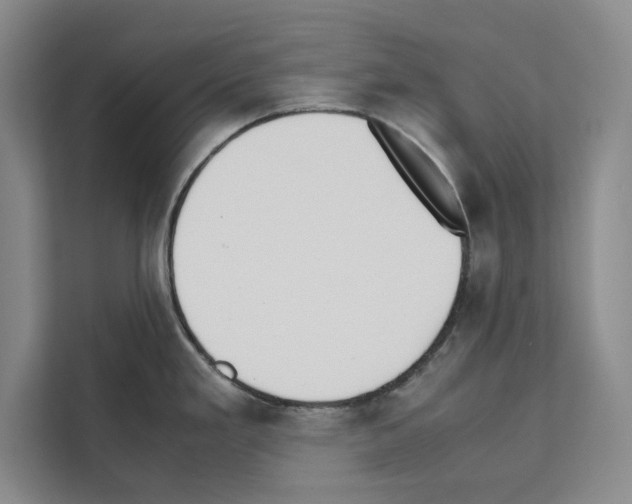 X0000111651293200908281042