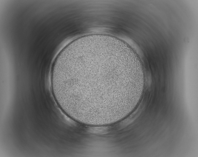 X0000111651294200908281042