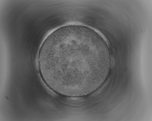 X0000111651295200908281042