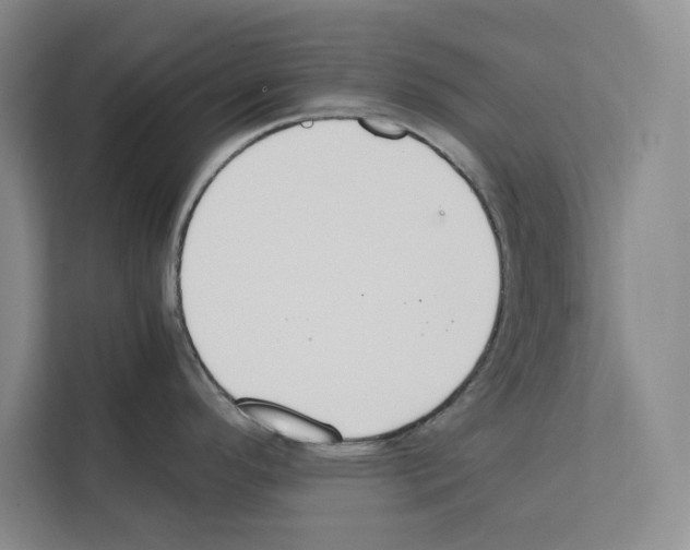 X0000111651296200908281042
