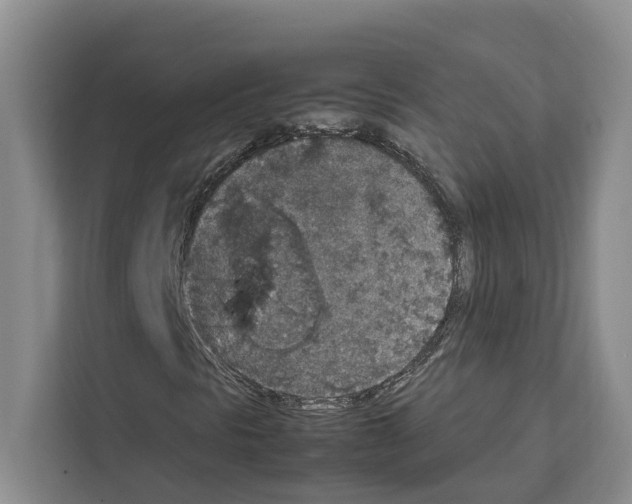 X0000111651297200908281041