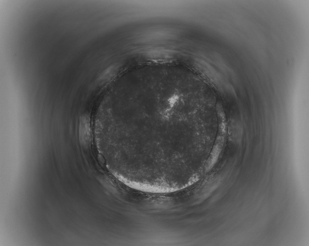 X0000111651298200908281041