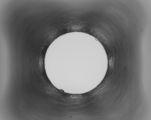 X0000111651299200908281041